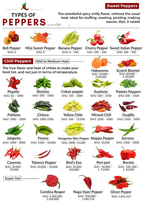 29 Types Of Peppers from Mild to Hot (With Photos!) 